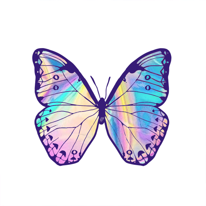 VICEROY (Pack de 2)-1